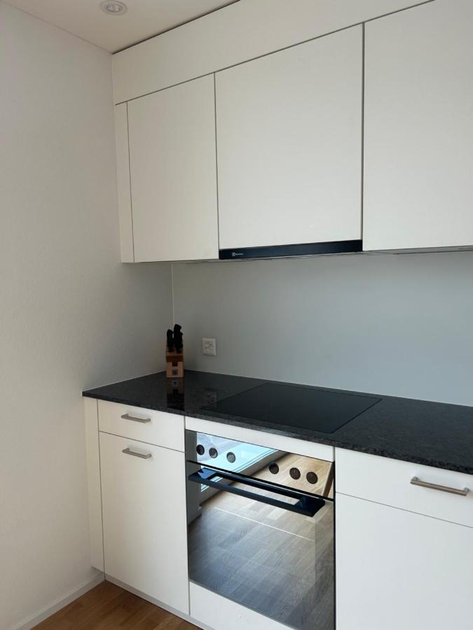 The R Apartment Passwang, Klima, Neu, Balkon, Parking Balsthal Екстер'єр фото