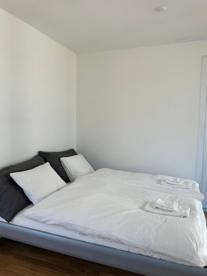 The R Apartment Passwang, Klima, Neu, Balkon, Parking Balsthal Екстер'єр фото