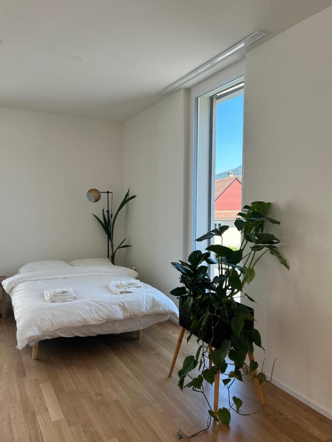 The R Apartment Passwang, Klima, Neu, Balkon, Parking Balsthal Екстер'єр фото
