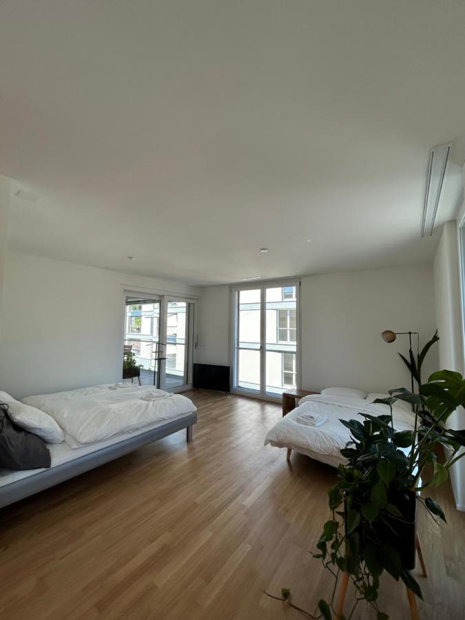 The R Apartment Passwang, Klima, Neu, Balkon, Parking Balsthal Екстер'єр фото